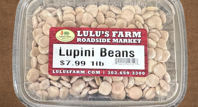 Lupini Beans