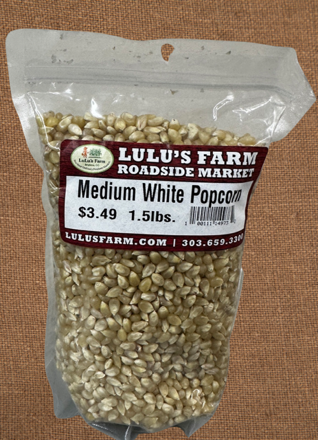 Popcorn- White Medium