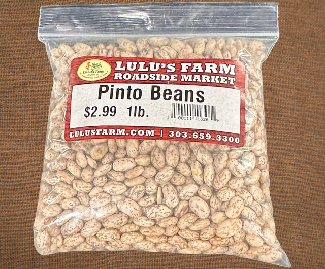 Pinto Beans