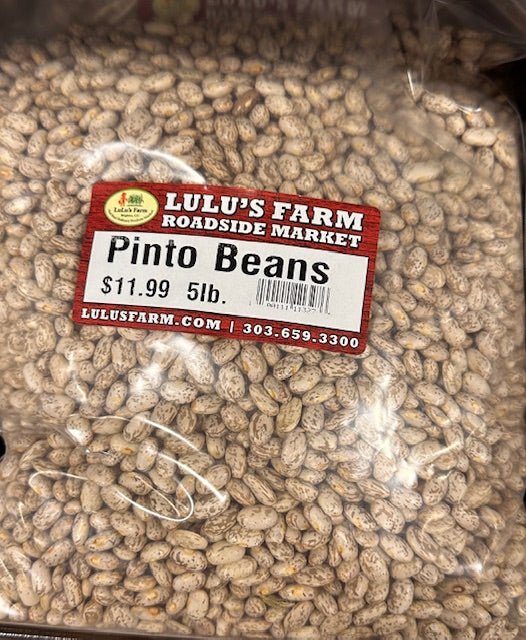 Pinto Beans