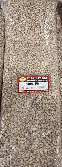 Pinto Beans