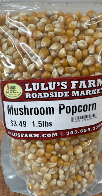 Popcorn- Mushroom
