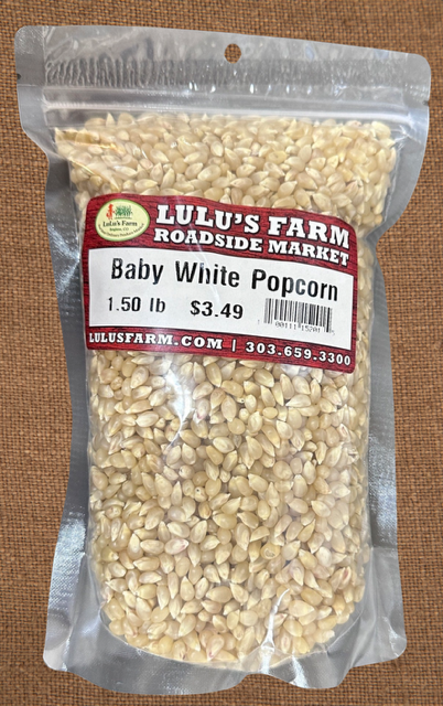 Popcorn - Baby White