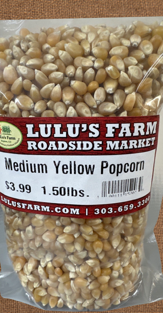 Popcorn- Medium Yellow