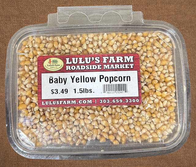 Popcorn- Baby Yellow